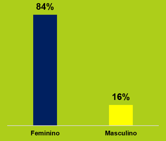Gráfico em barra, mostrando 84% de mulheres na pesquisa.
